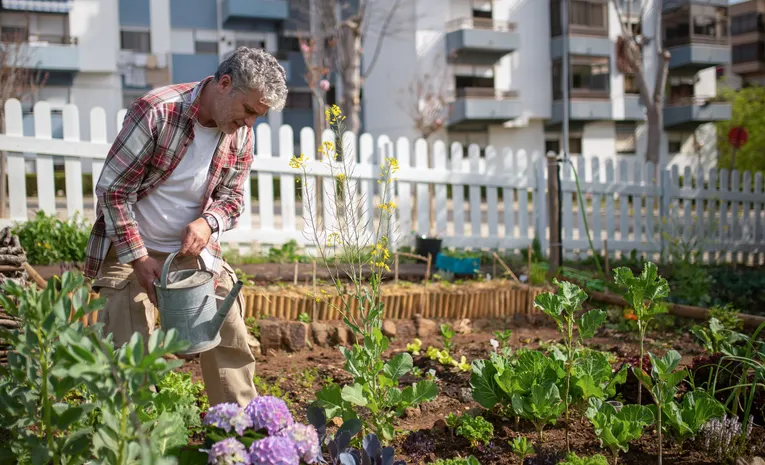 How to Grow a Garden: The Complete Beginner’s Guide